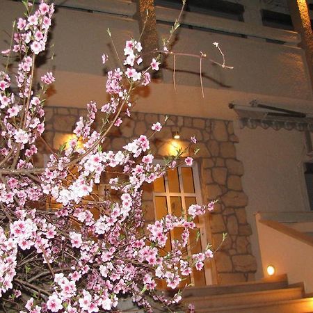 Villa Kokkinos Potos Exteriér fotografie